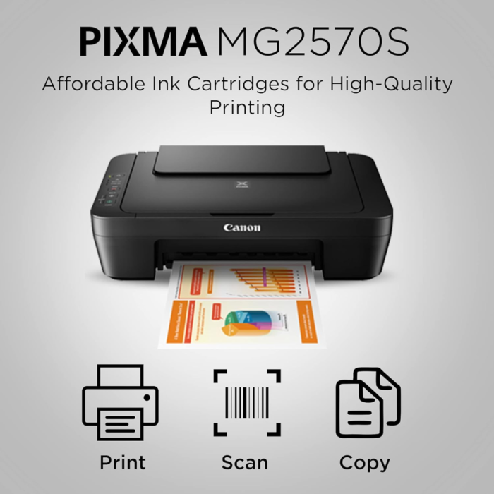 Canon PIXMA MG2570S Multi-Function Colour Inkjet Printer