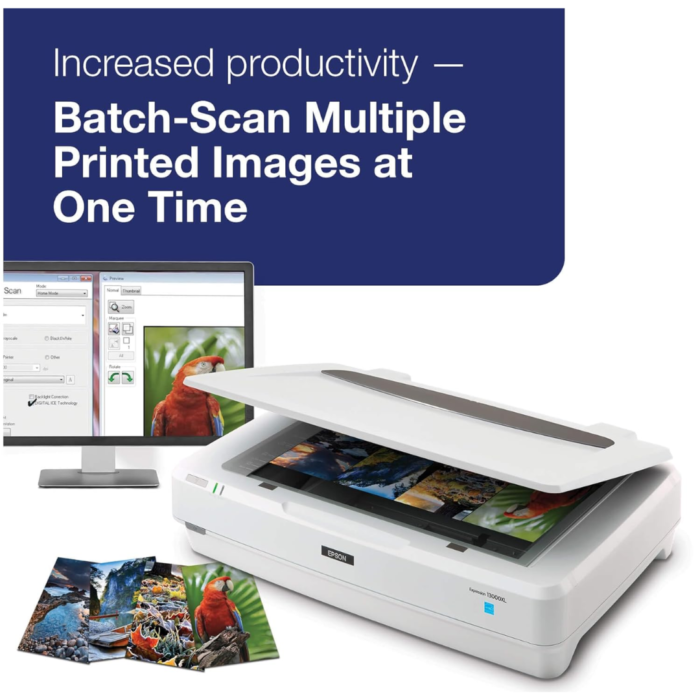 Epson Expression 13000XL Scanner EPIL
